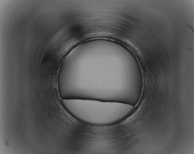 X0000093220929200709261442