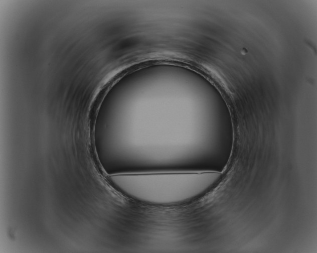 X0000093220931200709261442