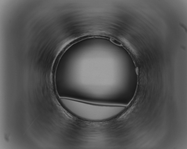 X0000093220932200709261442