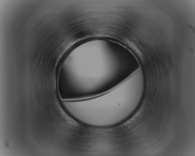 X0000093220934200709261442