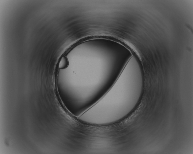 X0000093220935200709261442