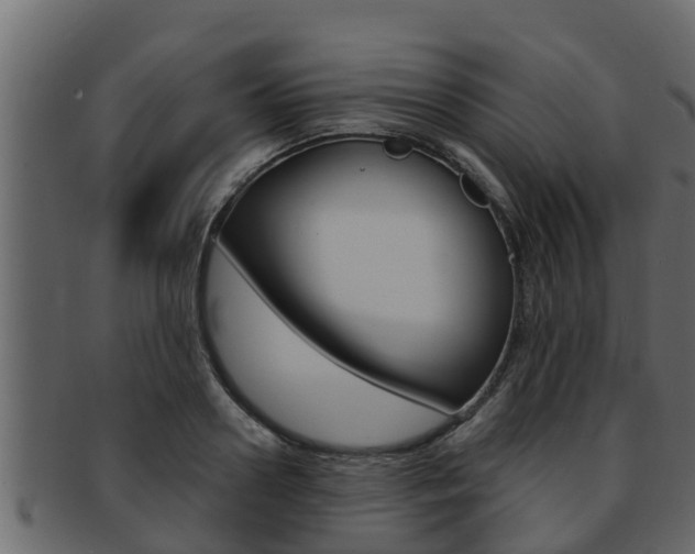 X0000093220938200709261443
