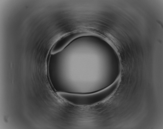 X0000093220940200709261443
