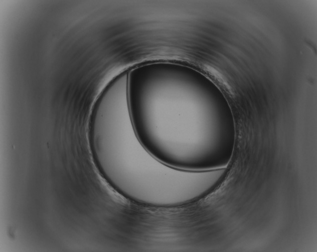 X0000093220942200709261443