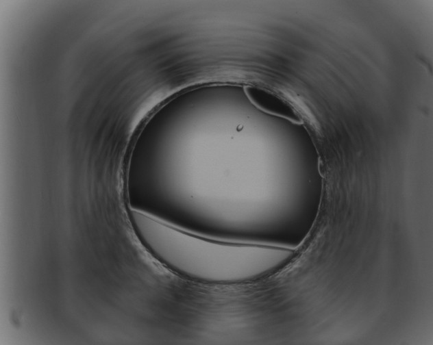 X0000093220944200709261443