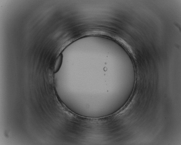 X0000093220945200709261443