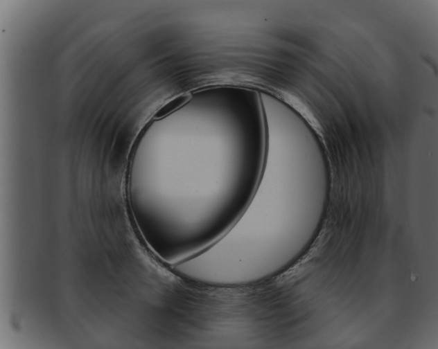 X0000093220946200709261443