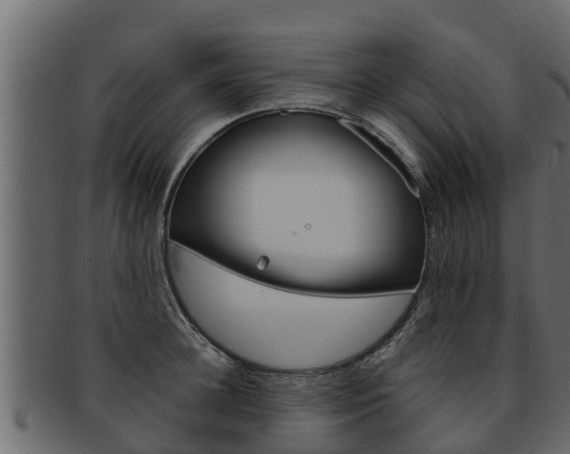 X0000093220948200709261443