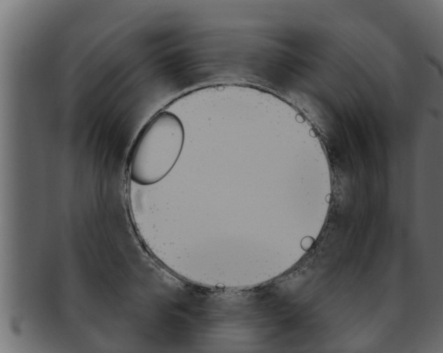 X0000093220950200709261443