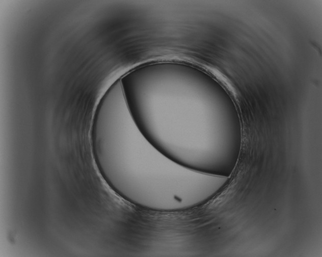 X0000093220951200709261443