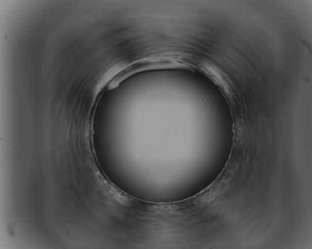 X0000093220952200709261443