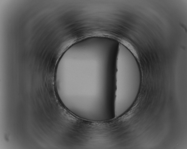 X0000093220954200709261443