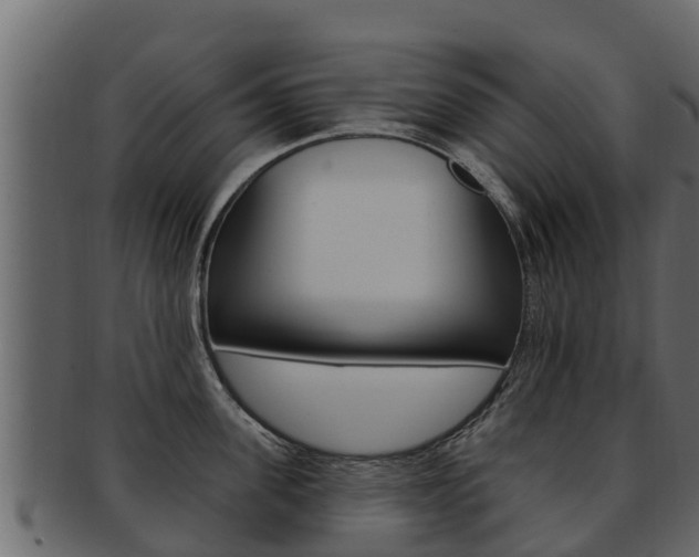 X0000093220955200709261443