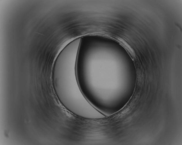 X0000093220956200709261443