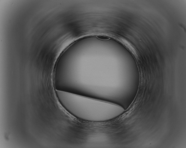 X0000093220958200709261443