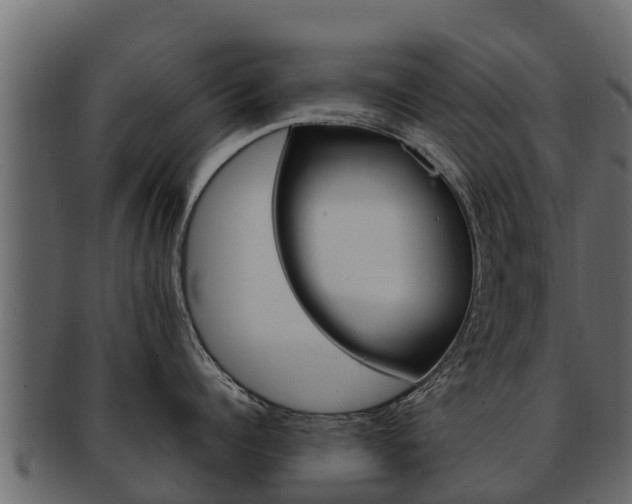 X0000093220960200709261443