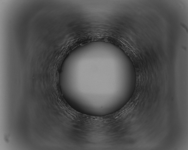 X0000093220961200709261442