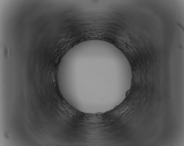 X0000093220962200709261442