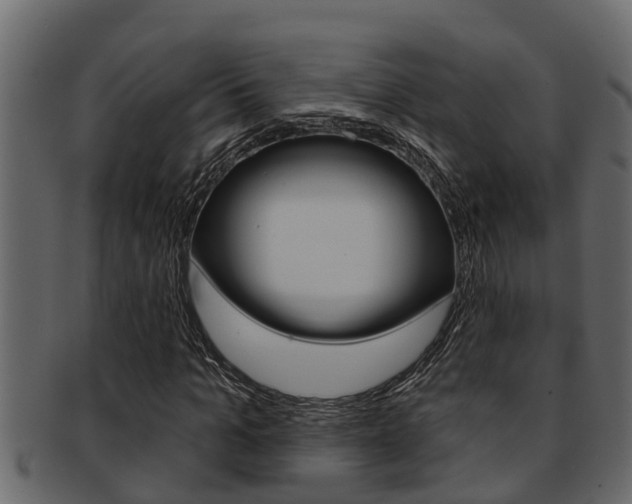 X0000093220965200709261442