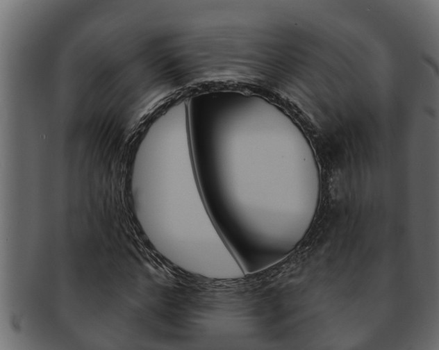 X0000093220968200709261442