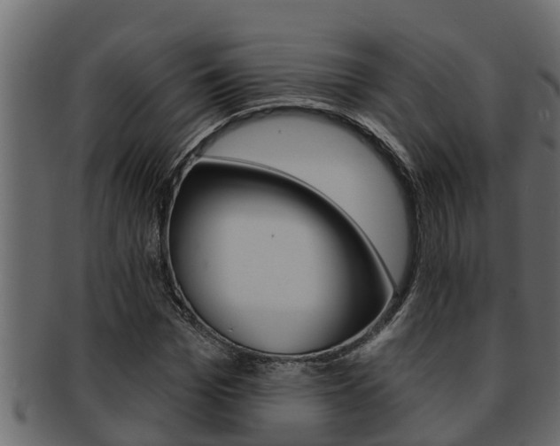 X0000093220969200709261442