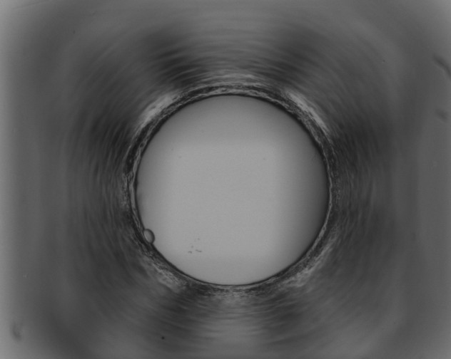 X0000093220970200709261442