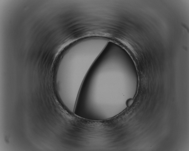 X0000093220971200709261442
