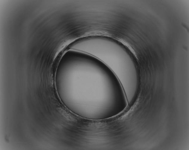 X0000093220973200709261442