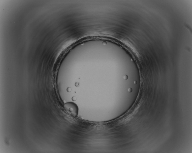 X0000093220974200709261442