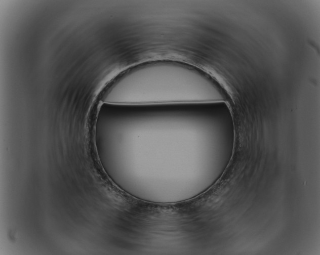 X0000093220975200709261442