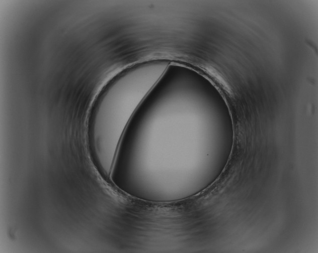 X0000093220976200709261442
