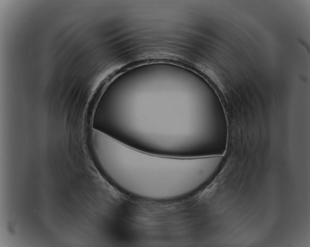 X0000093220979200709261442
