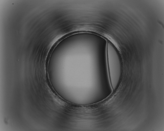 X0000093220980200709261442