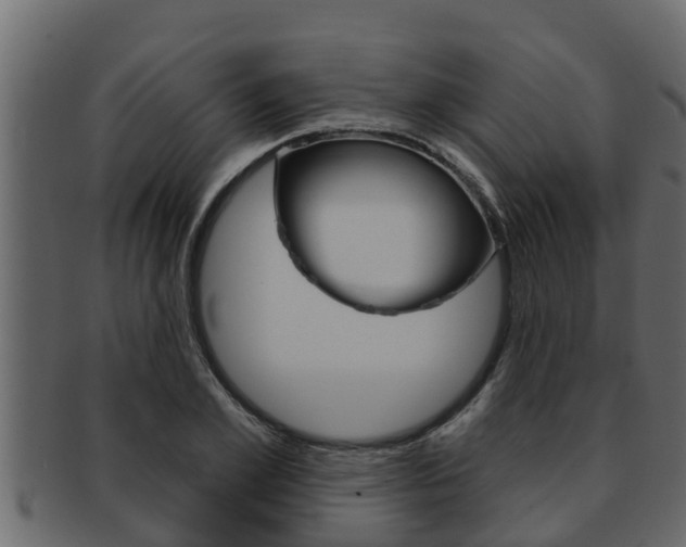 X0000093220981200709261442