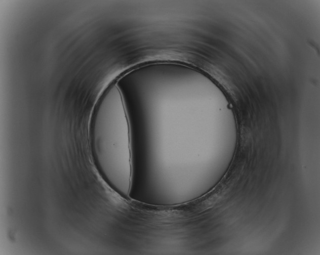 X0000093220988200709261442
