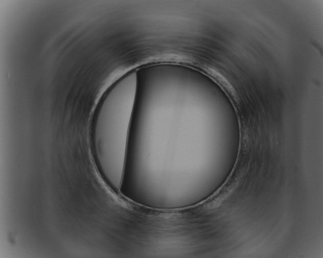 X0000093220989200709261442