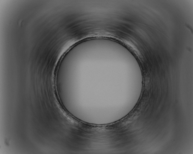 X0000093220990200709261442