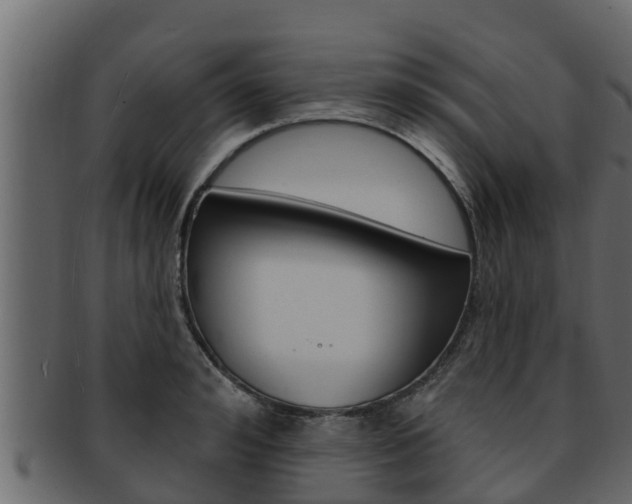 X0000093220992200709261442
