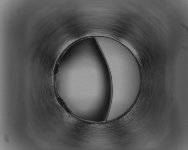 X0000093220996200709261442