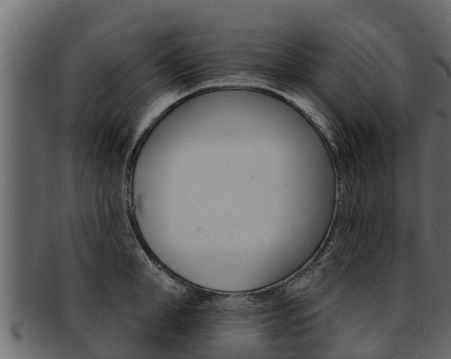 X0000093220998200709261442