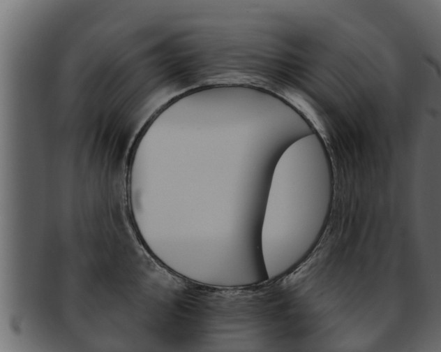 X0000093221000200709261442