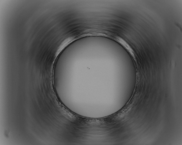 X0000093221002200709261442