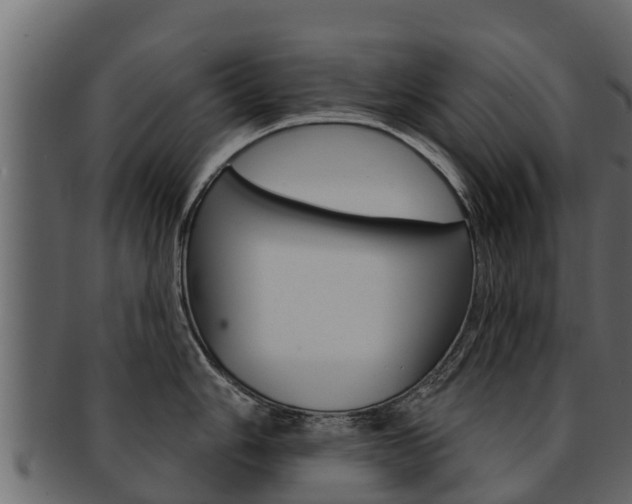 X0000093221006200709261441