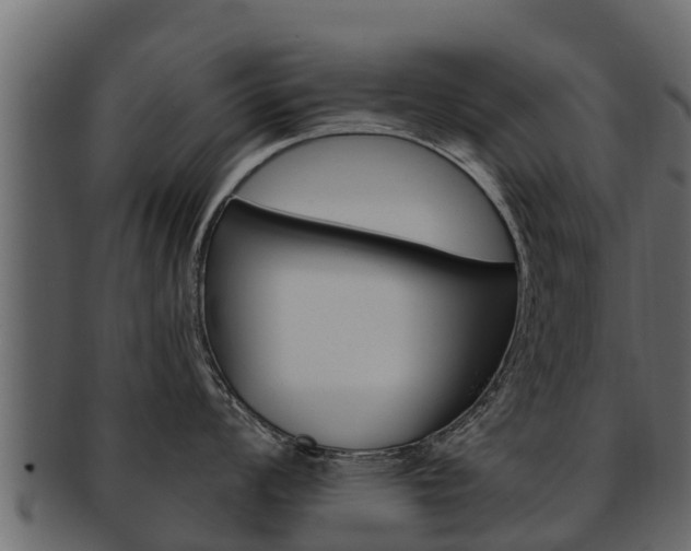 X0000093221008200709261441