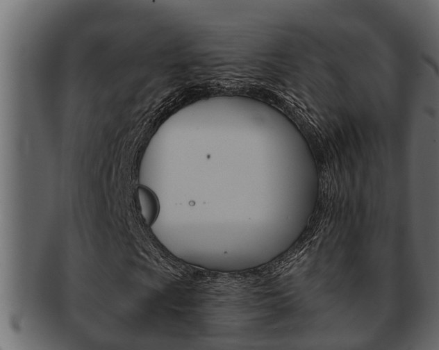 X0000093221009200709261441