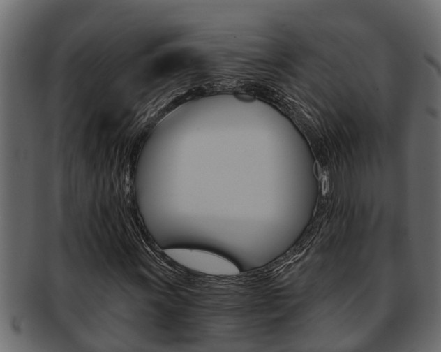 X0000093221011200709261441
