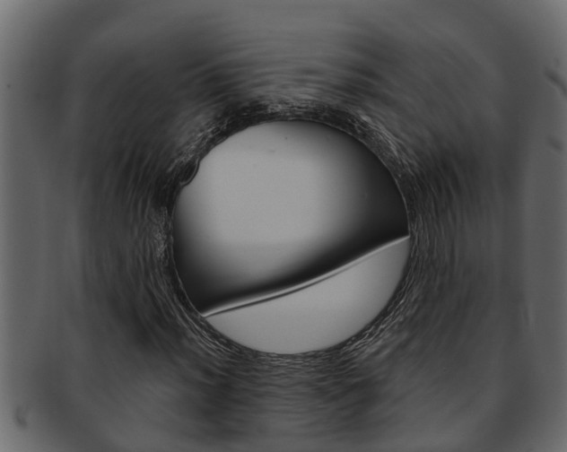X0000093221012200709261441