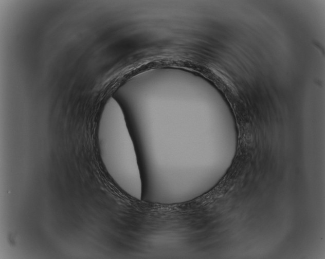 X0000093221015200709261441