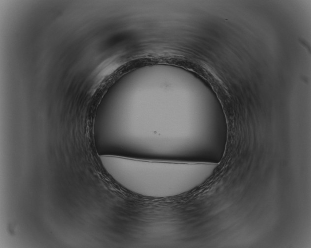 X0000093221016200709261441