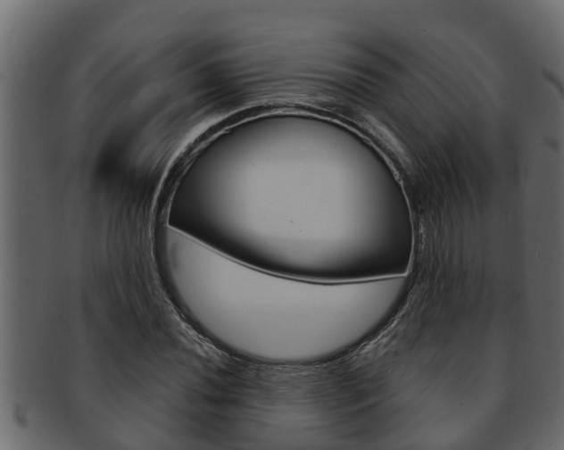 X0000093221020200709261441